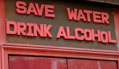 Podwyżka akcyzy na alkohol w 2026 roku – rząd planuje 2,8 mld zł na ochronę zdrowia