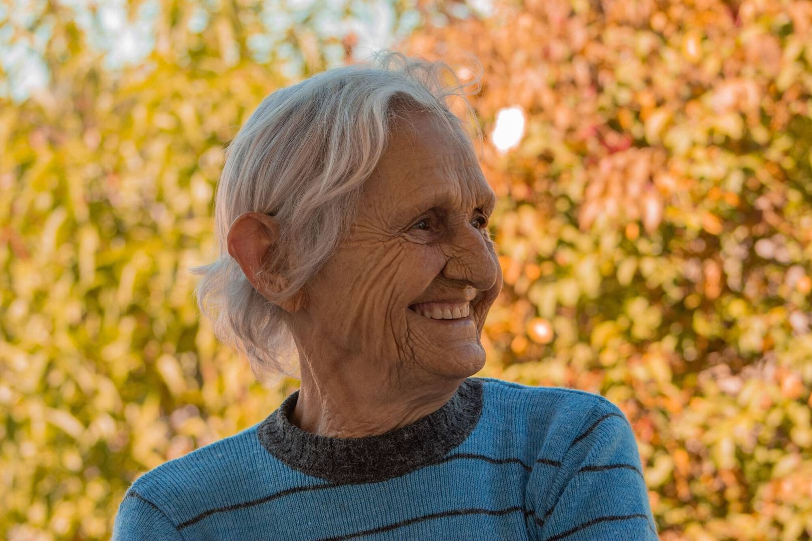 pexels-adriane-erthal-107017179-11883419.jpg